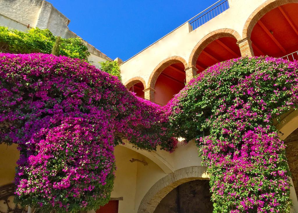 Apartaments Can Gibert Castello  D'Empuries Ngoại thất bức ảnh
