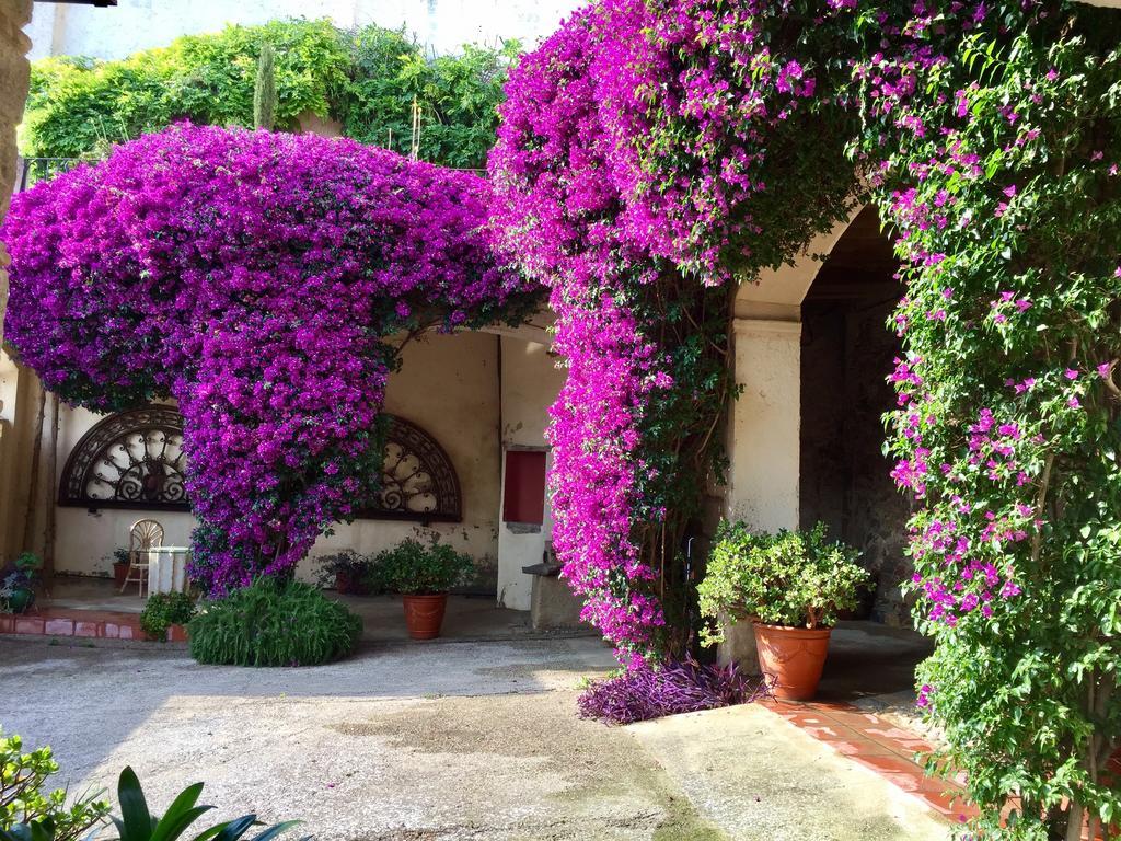 Apartaments Can Gibert Castello  D'Empuries Ngoại thất bức ảnh